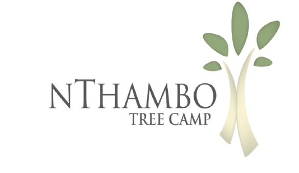 nThambo Tree Camp